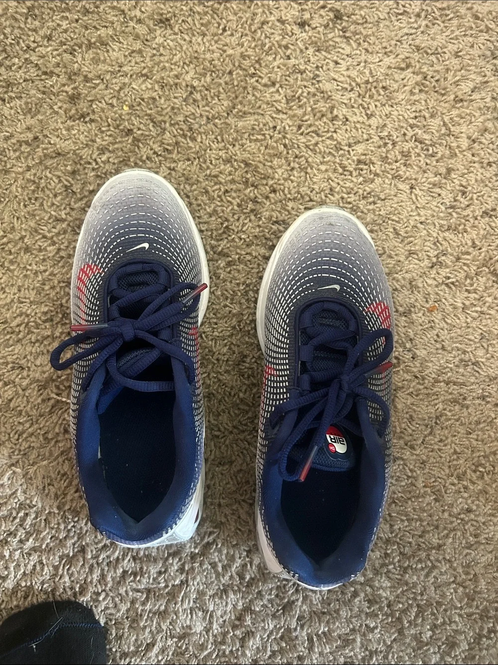 Nike Kids Navy, White and Red Gradient Sneakers
